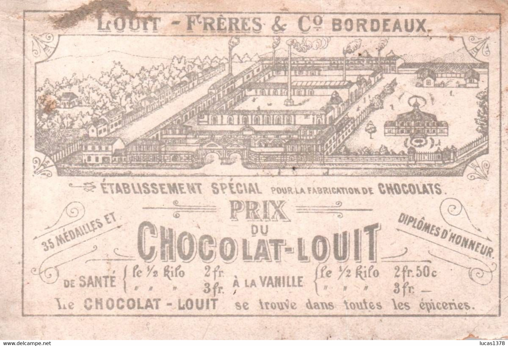 CHOCOLAT LOUIT  / OISEAUX - Louit