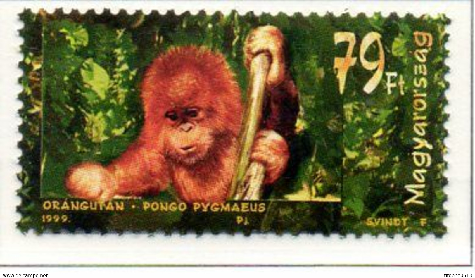 HONGRIE. N°3676 De 1999. Orang-outan. - Singes