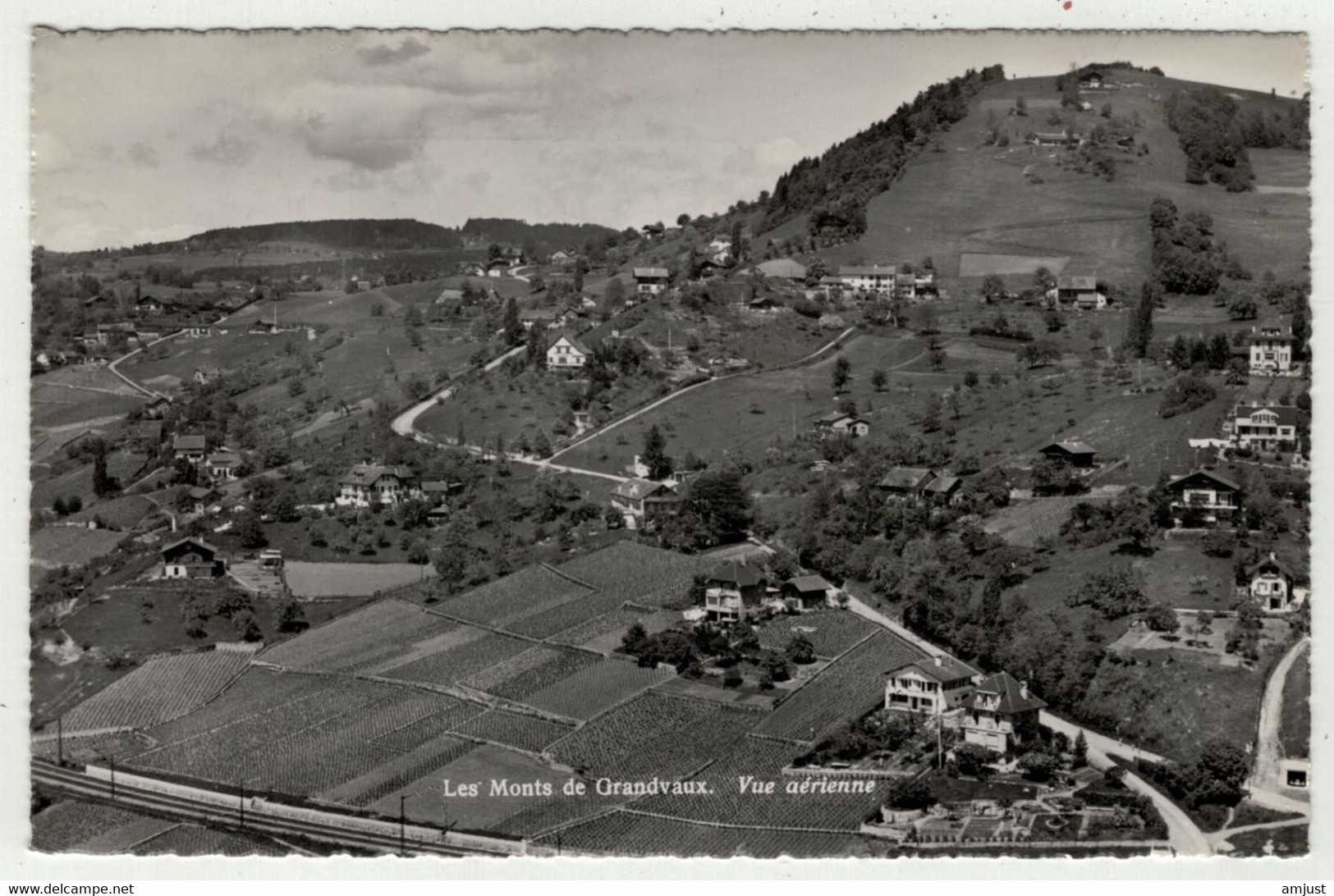 Suisse // Schweiz // Vaud // Les Monts De Grandvaux, Vue Aérienne - Grandvaux