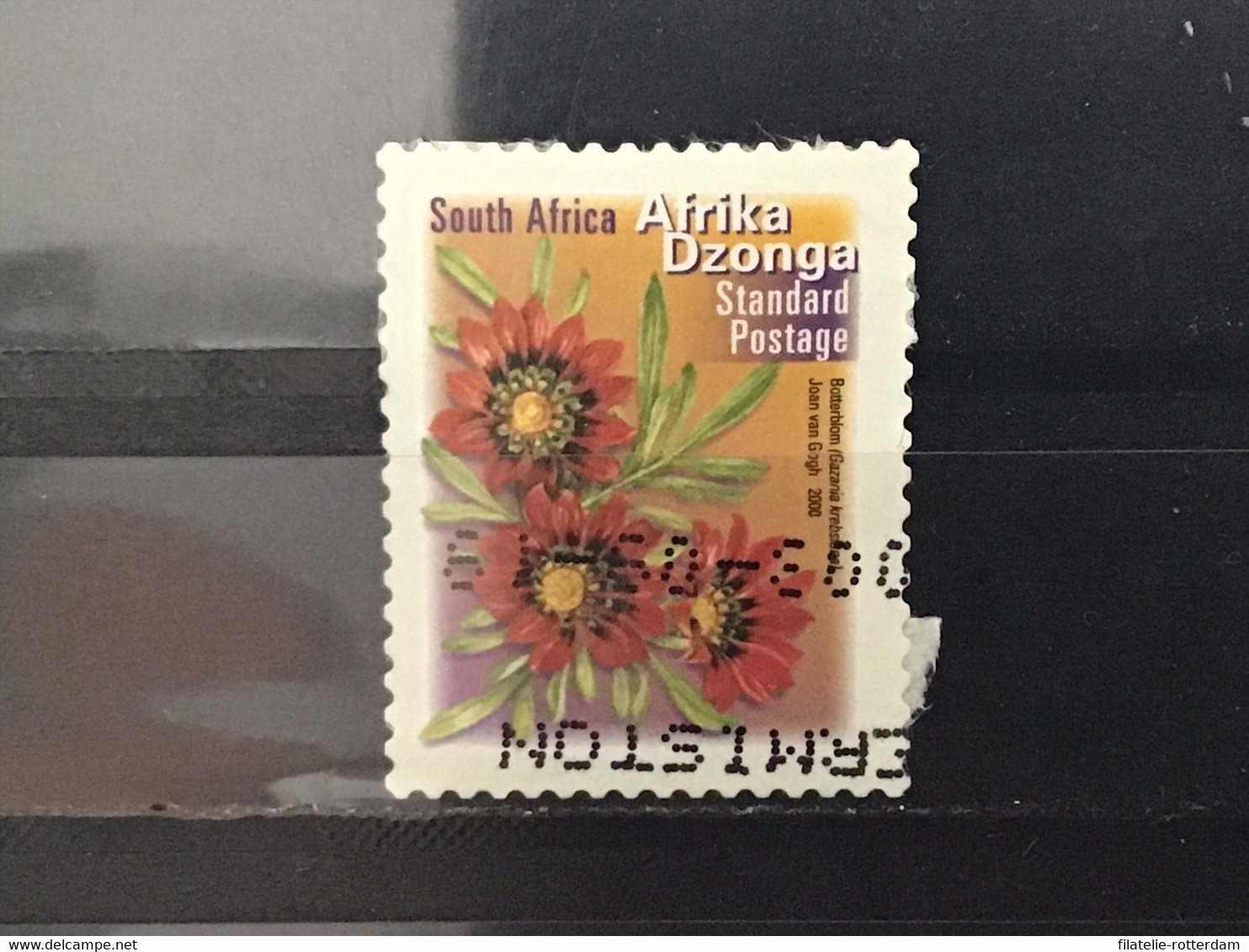 Zuid-Afrika / South Africa - Bloemen Dzonga 2001 - Oblitérés