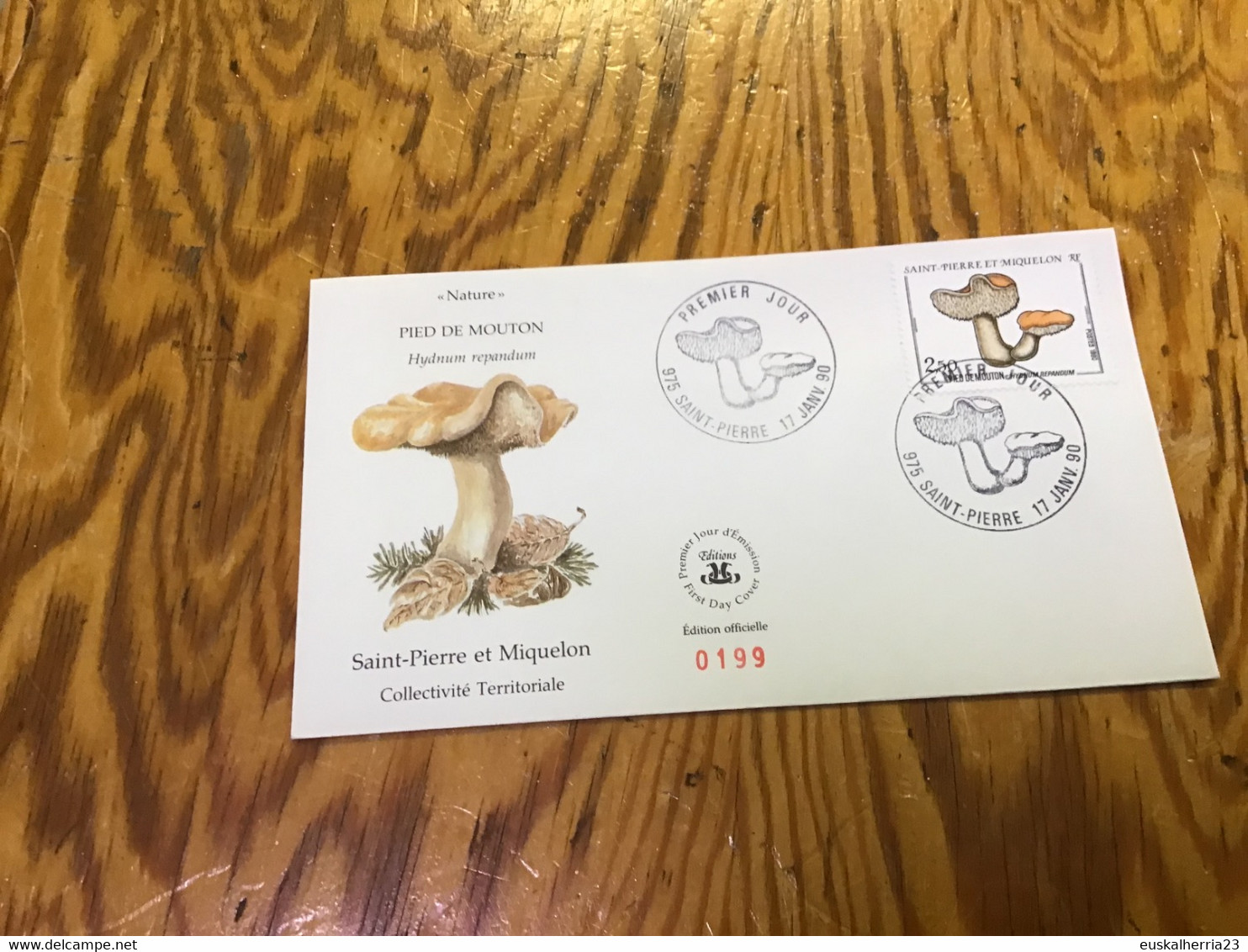 Enveloppe 1er Jour Saint-pierre Et Miquelon Pied De Mouton 1990 - Oblitérés