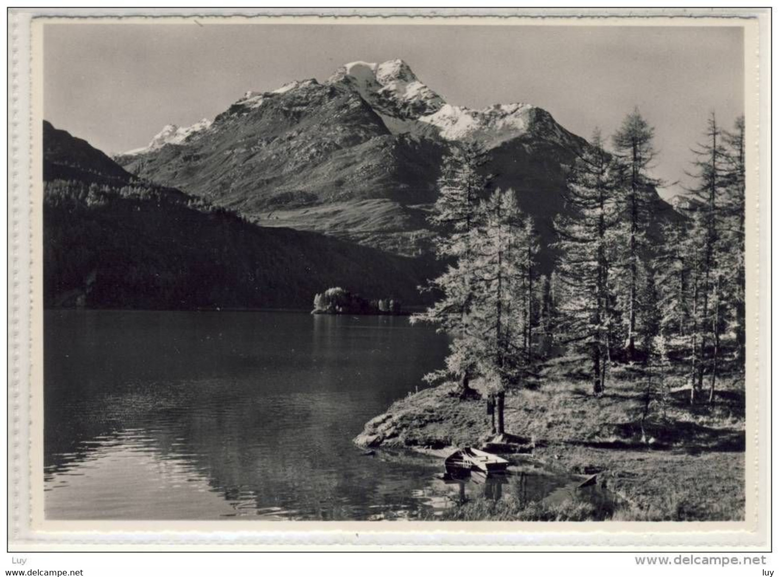 Silsersee - Piz  Della  Margna - 1958 - Sils Im Engadin/Segl