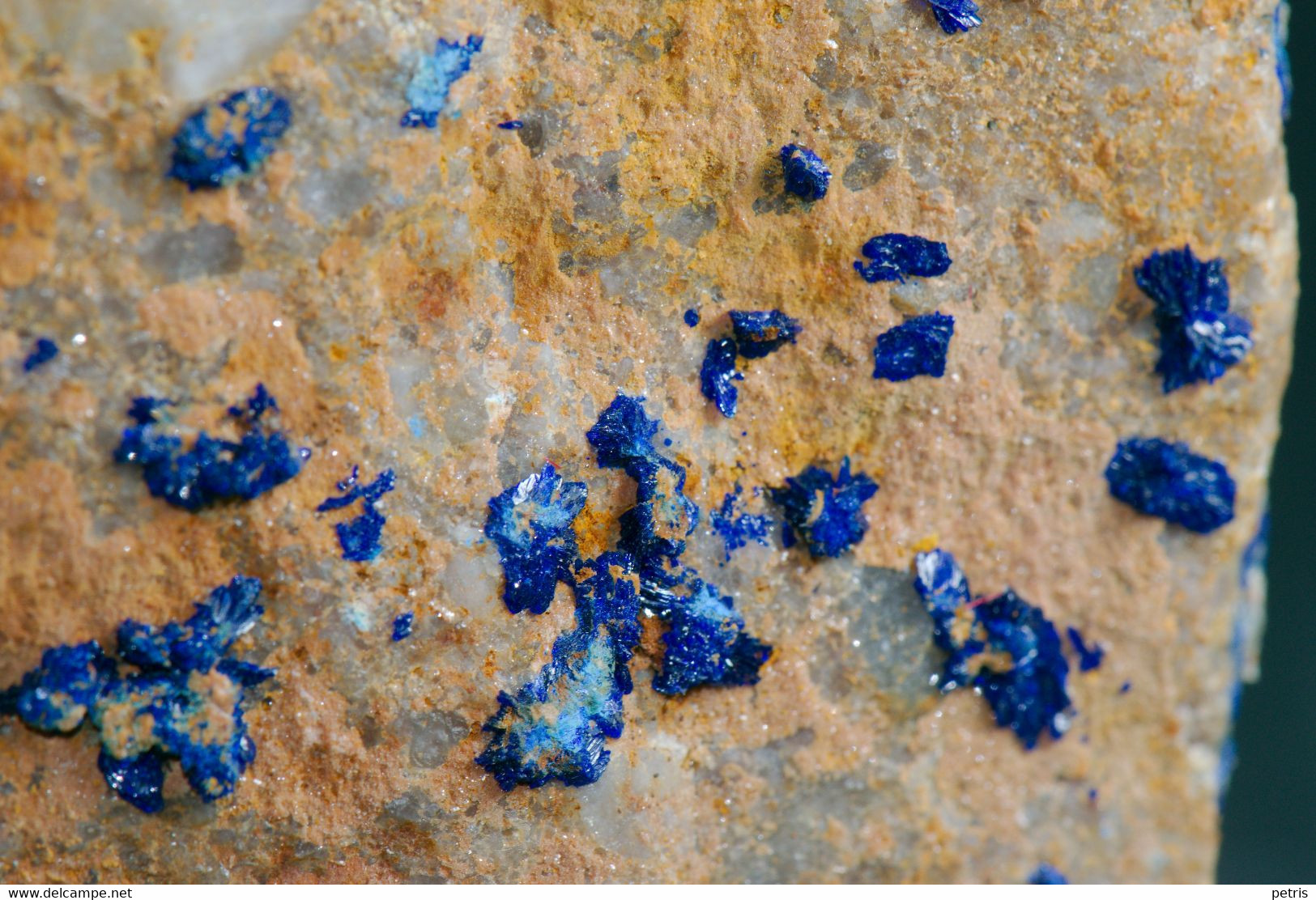 Mineral - Azzurrite (Cap Garonne, Le Pradet, Francia) - lot. 677