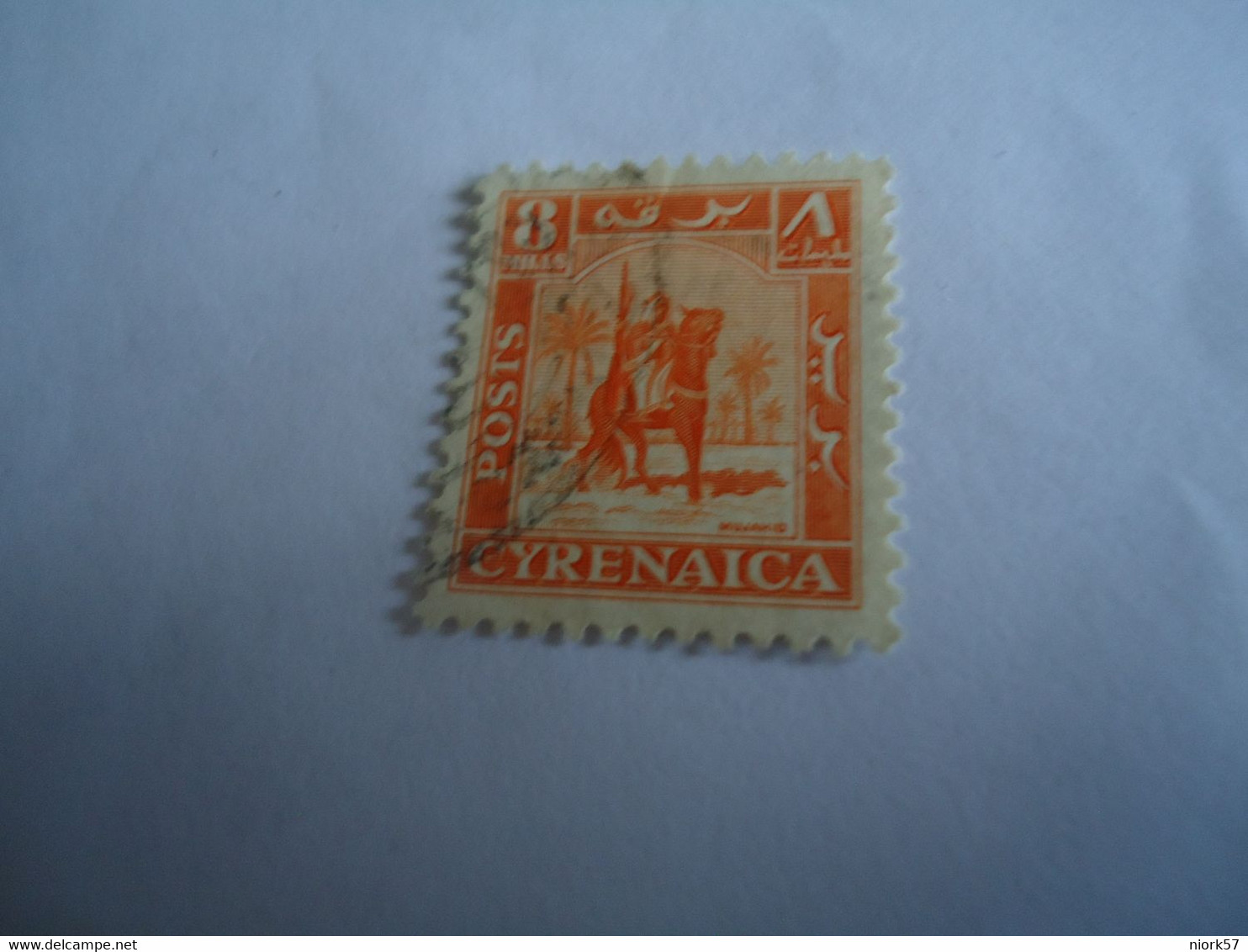 CIRENAICA  ITALY  USED STAMPS HORHES - Cirenaica