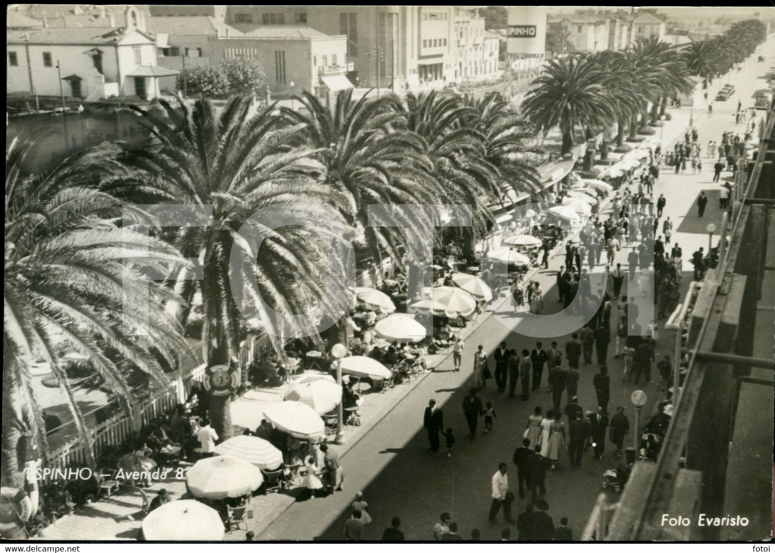 1960 ORIGINAL FOTO EVARISTO PHOTO ESPINHO AVEIRO PORTUGAL - Aveiro