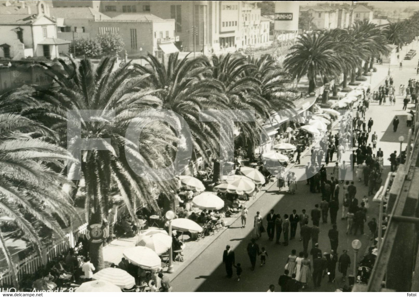 1960 ORIGINAL FOTO EVARISTO PHOTO ESPINHO AVEIRO PORTUGAL - Aveiro