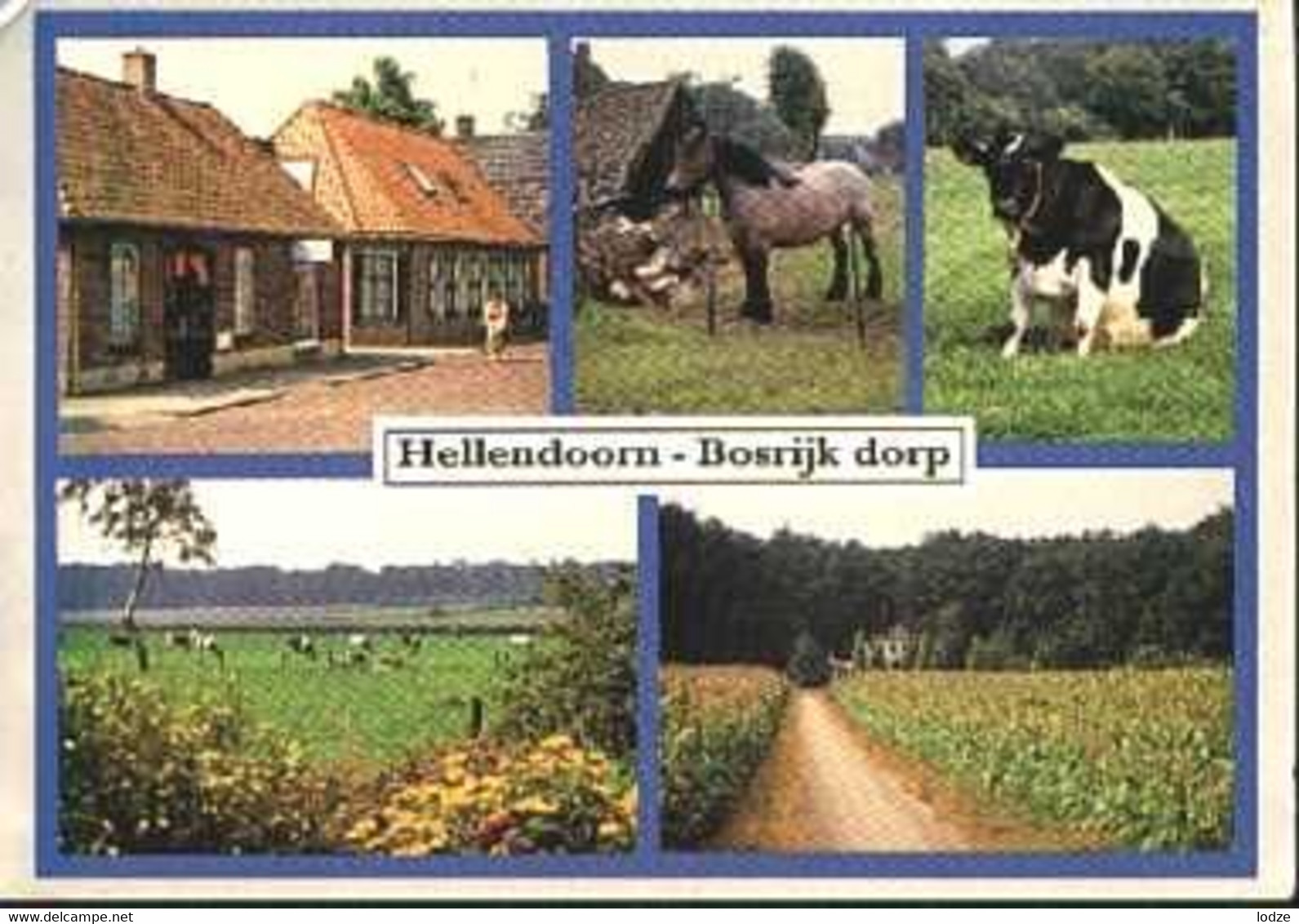 Nederland Holland Pays Bas Hellendoorn Landleven - Hellendoorn