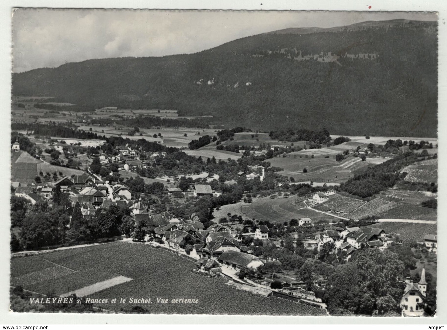 Suisse // Schweiz // Vaud // Valeyres S/Rances Et Le Suchet, Vue Aérienne - Rances