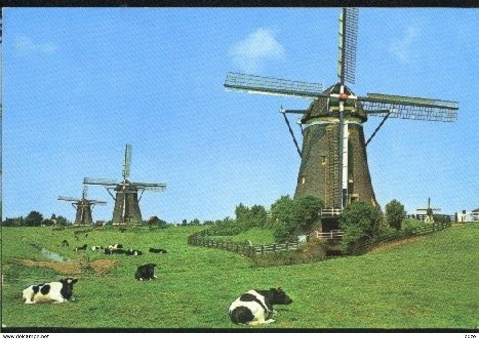 Nederland Holland Pays Bas Leidschendam Met Molens En Koeien - Leidschendam