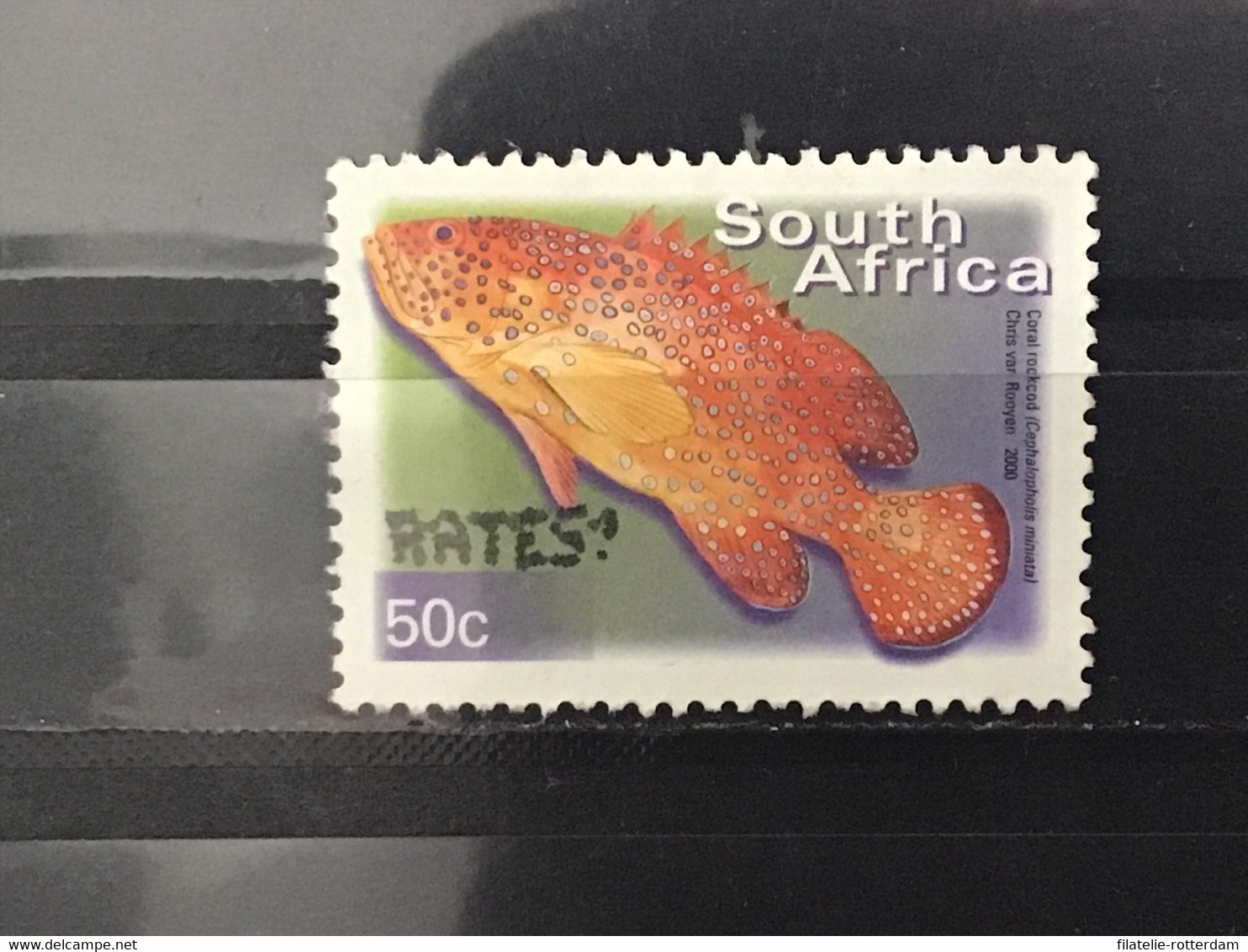 Zuid-Afrika / South Africa - Vissen (50) 2000 - Used Stamps