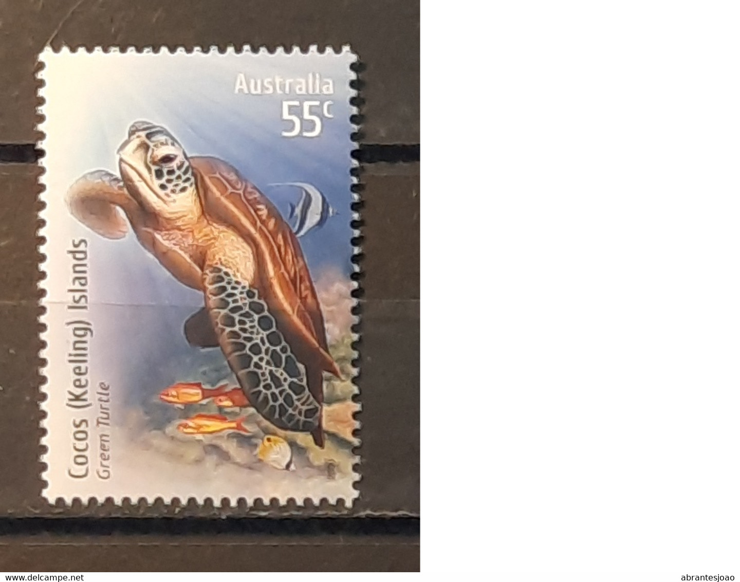 2009 - Cocos (Keeling) Islands - MNH - Species At Risk In Joint Territories - Complete Set Of 1 Stamp - Cocos (Keeling) Islands