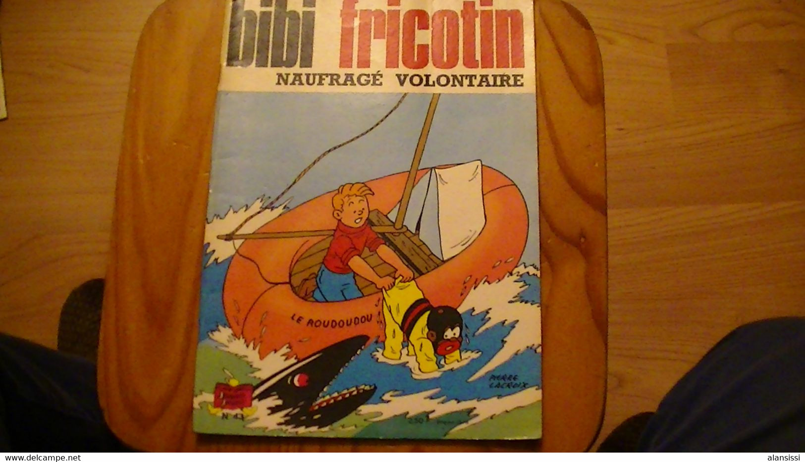 NAUFRAGE VOLONTAIRE   BIBI FRICOTIN          N° 43  1973 - Bibi Fricotin