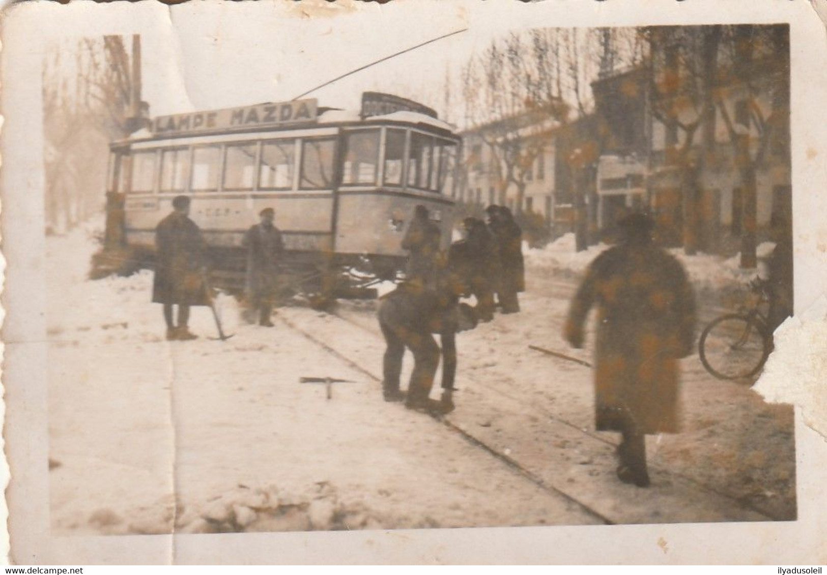 Perpignan Lot De 6 Petite Photos Bus Et Tram Annee 40 - Perpignan