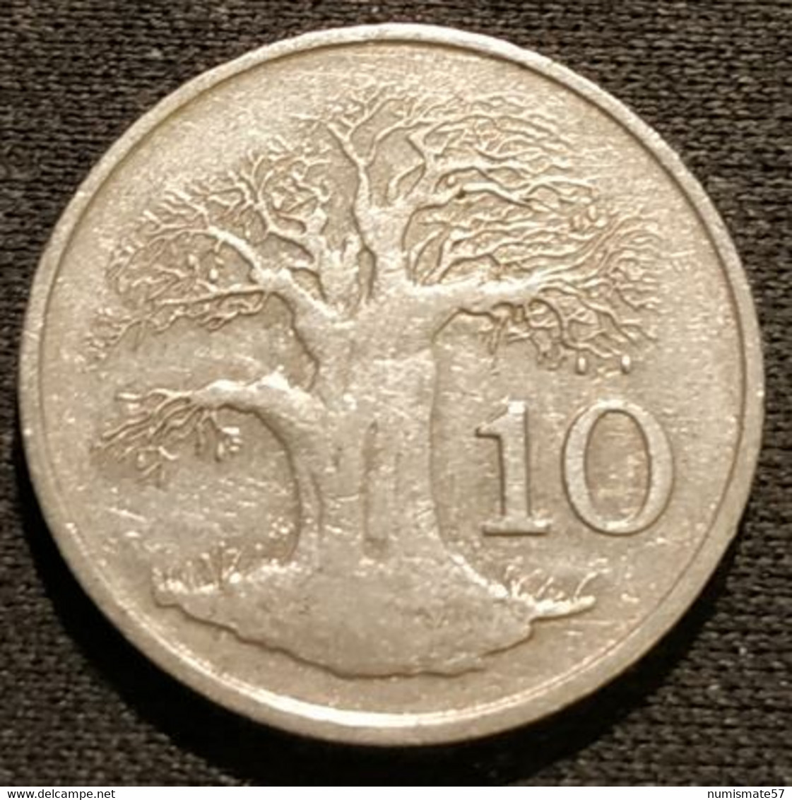 ZIMBABWE - 10 CENTS 1994 - Baobab - KM 3 - Zimbabwe