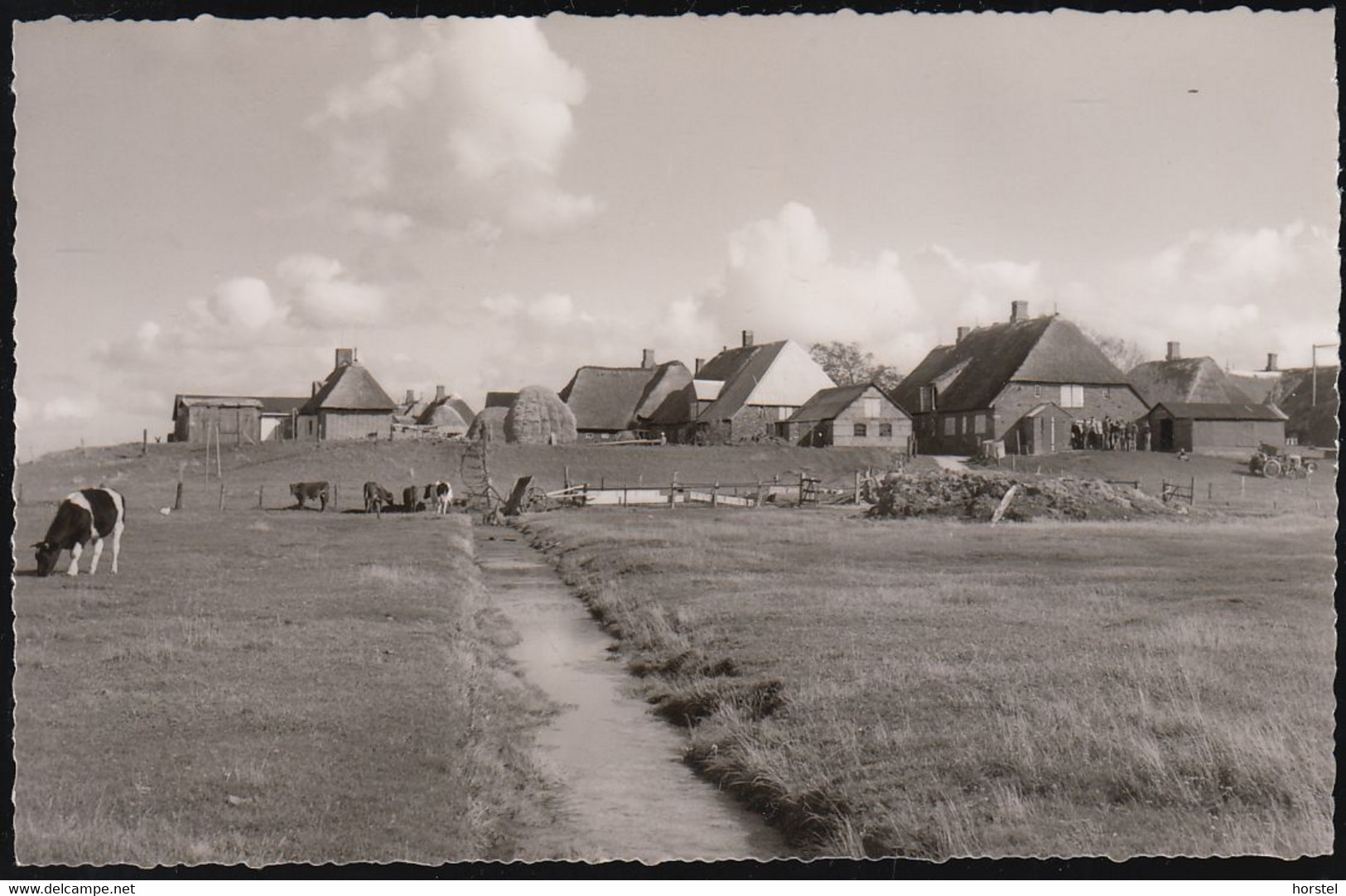 D-25859 Hallig Hooge - Warft Mit Dorfsiedlung (1963) - Halligen