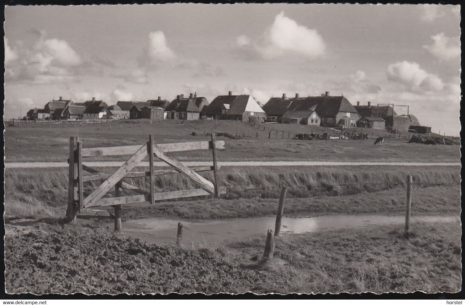 D-25859 Hallig Hooge - Warft Mit Dorfsiedlung (1963) - Halligen