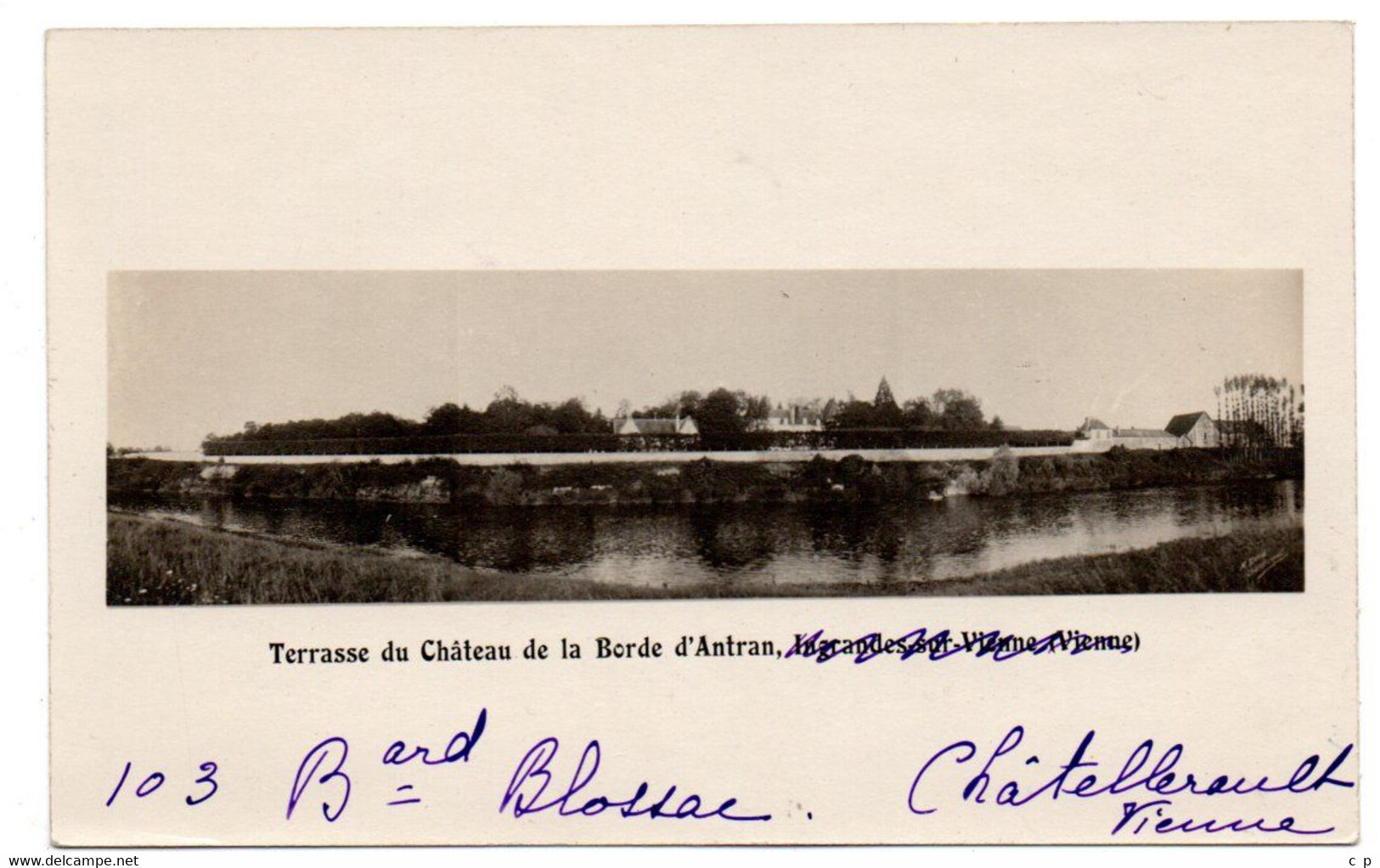 Ingrandes - Terrasse Du Chateau De La Borde D'Antrans  - Carte Photo -  CPA° - Ingrandes