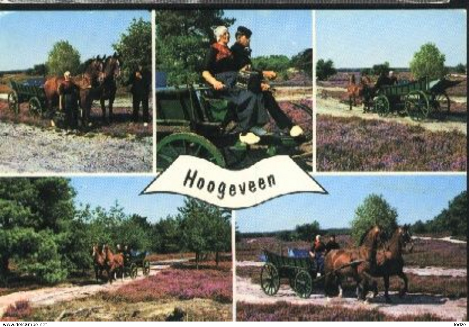 Nederland Holland Pays Bas Hoogeveen Boerenleven Op De Heide - Hoogeveen