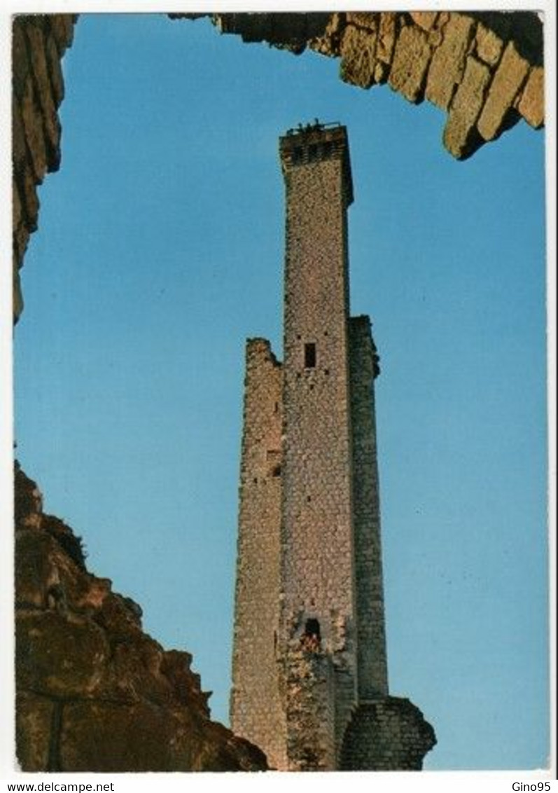 CPM 81 Castelnau De Levis La Tour Vue Des Ruines Du Château - Castelnau De Montmirail