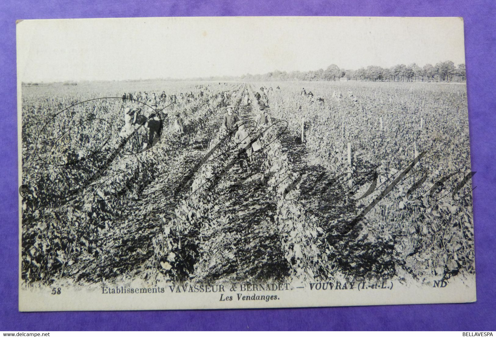 Vouvray Etablissements VAVASEUR & BERNADET Les Vendanges. N°58 N.D. - Vouvray