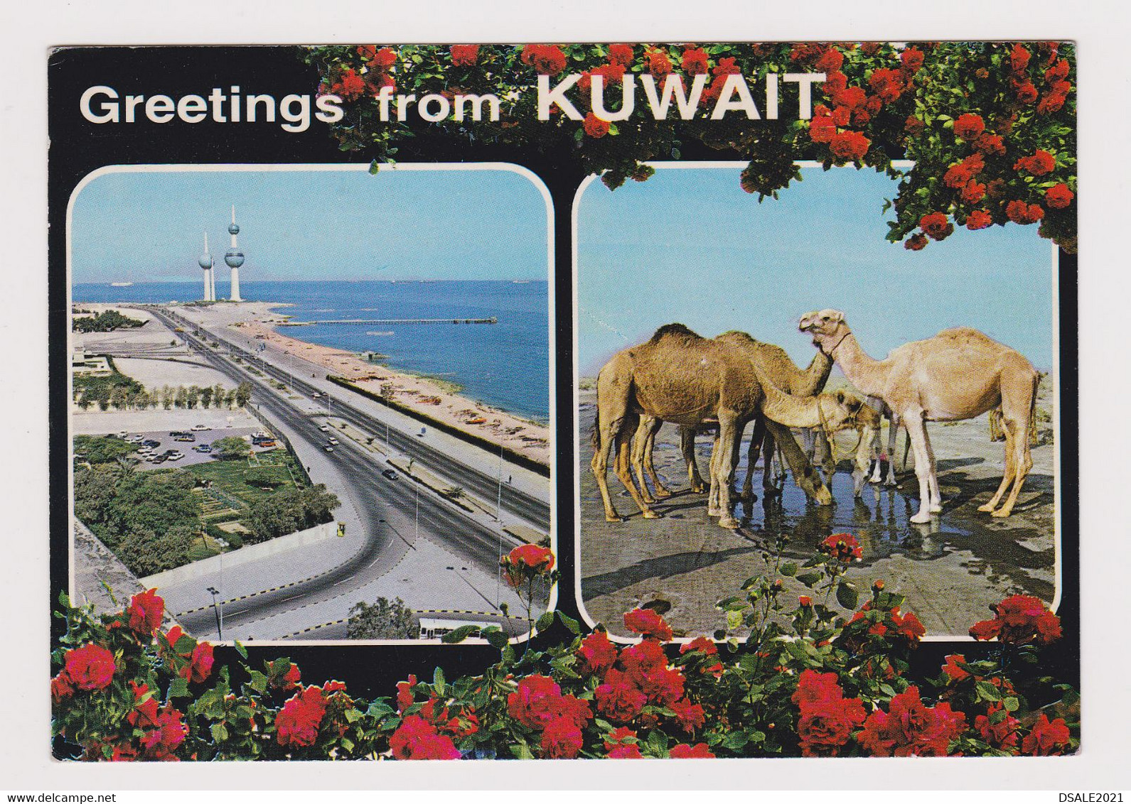 KUWAIT Greetings From Kuwait View Vintage Photo Postcard CPA (53267) - Koweït
