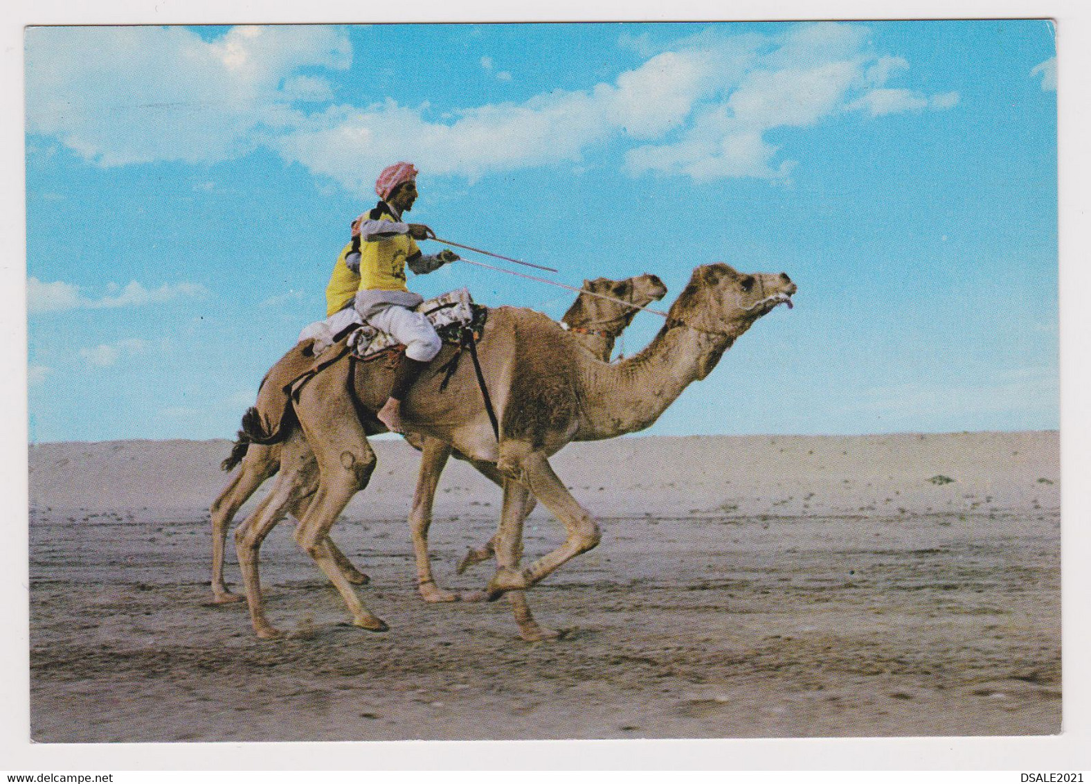 KUWAIT The Camel Race In Desert Vintage Photo Postcard CPA (53269) - Koeweit