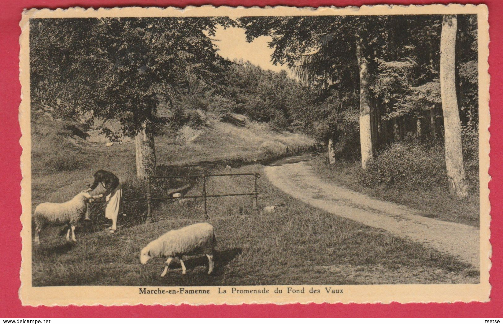 Marche-en-Famenne -  La Promenade Du Fond Des Vaux ... Dame Et Ses Moutons -1953 ( Voir Verso ) - Marche-en-Famenne