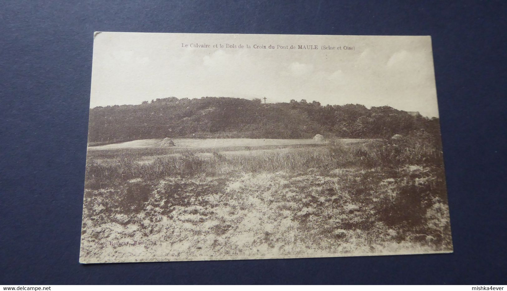 Le Calvaire Et Le Bois De La Croix Du Pont De  MAULE - Maule