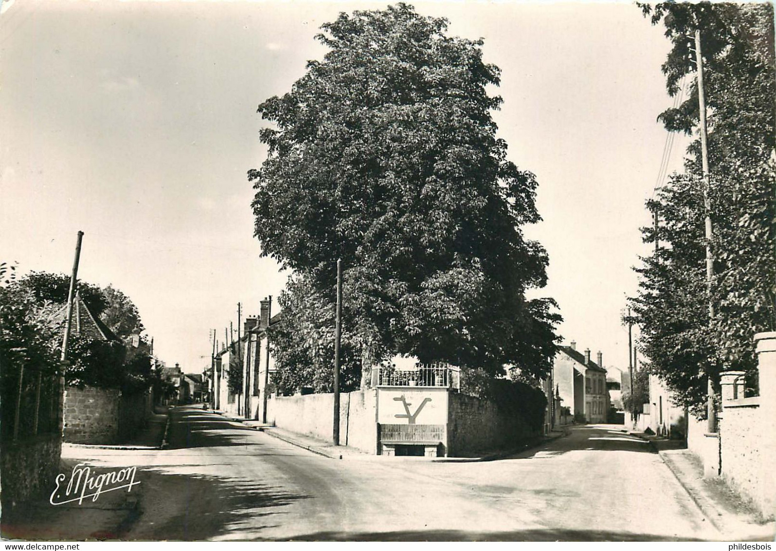 SEINE ET MARNE  SAMOIS Sur SEINE (cpsm) - Samois