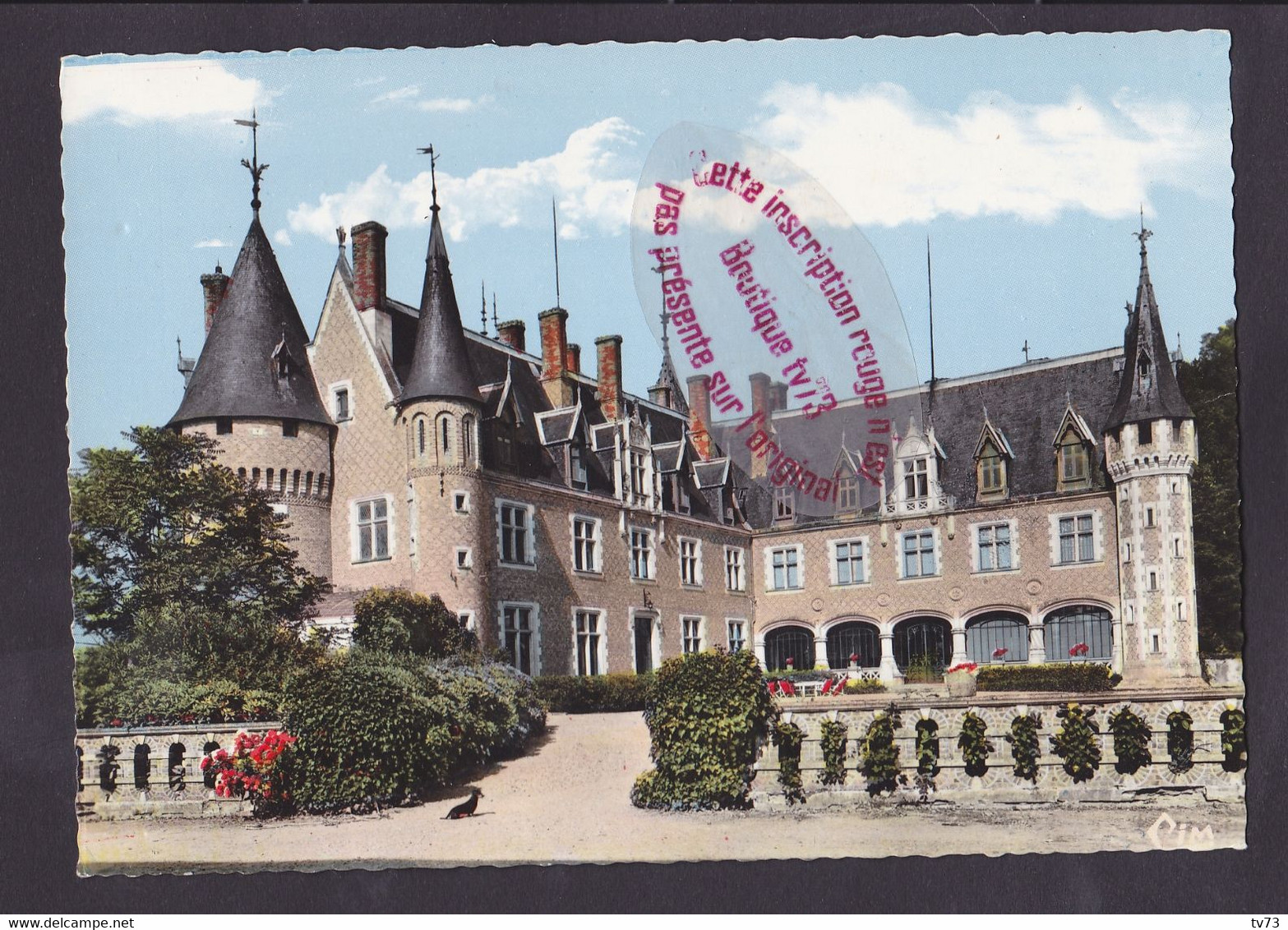 S2241 - NANCAY Le Chateau - Cher - Nançay