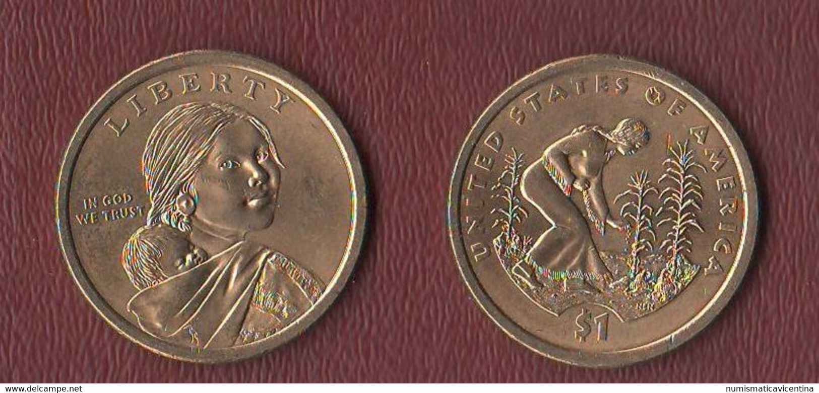 USA Native Dollar 2009 D Sacagawea America - 2000-…: Sacagawea