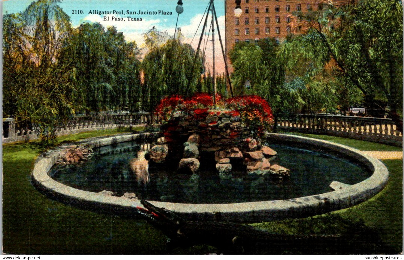 Texas El Paso San Jacinto Plaza Alligator Pool 1936 Curteich - El Paso