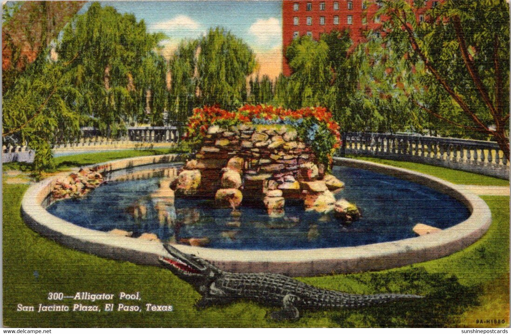 Texas El Paso San Jacinto Plaza Alligator Pool 1949 Curteich - El Paso