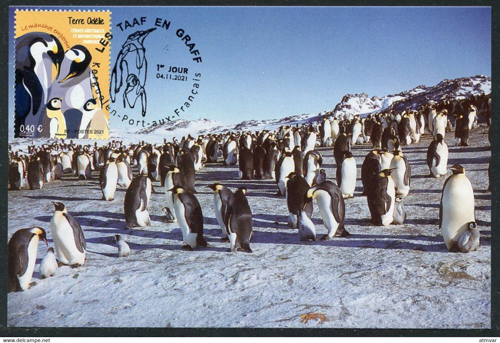 TAAF (2021) Carte Maximum Card - LES TAAF EN GRAAF Terre Adelie Colonies De Manchot Empereur Emperor Penguin - Other & Unclassified