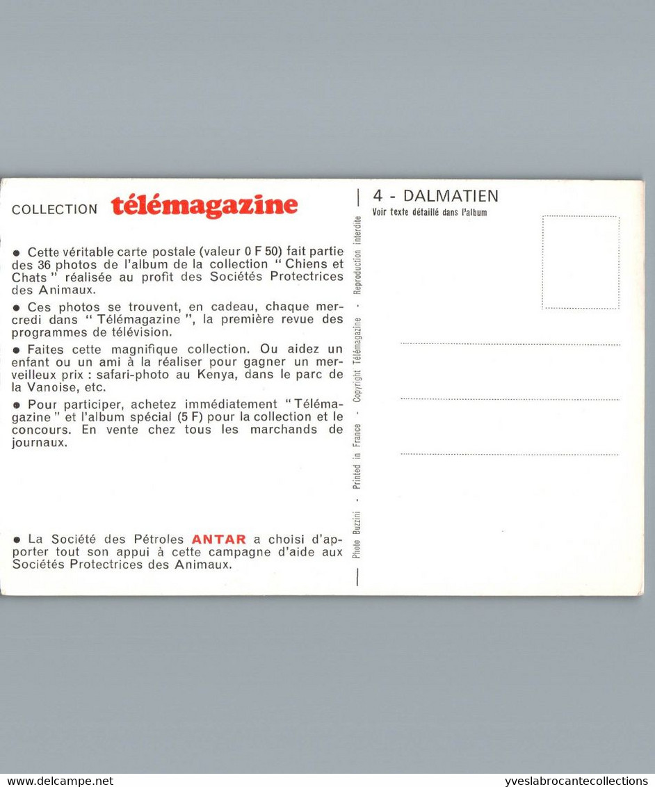 Chien - Dalmatien - Collection Télémagazine - Carte Souple - Hunde