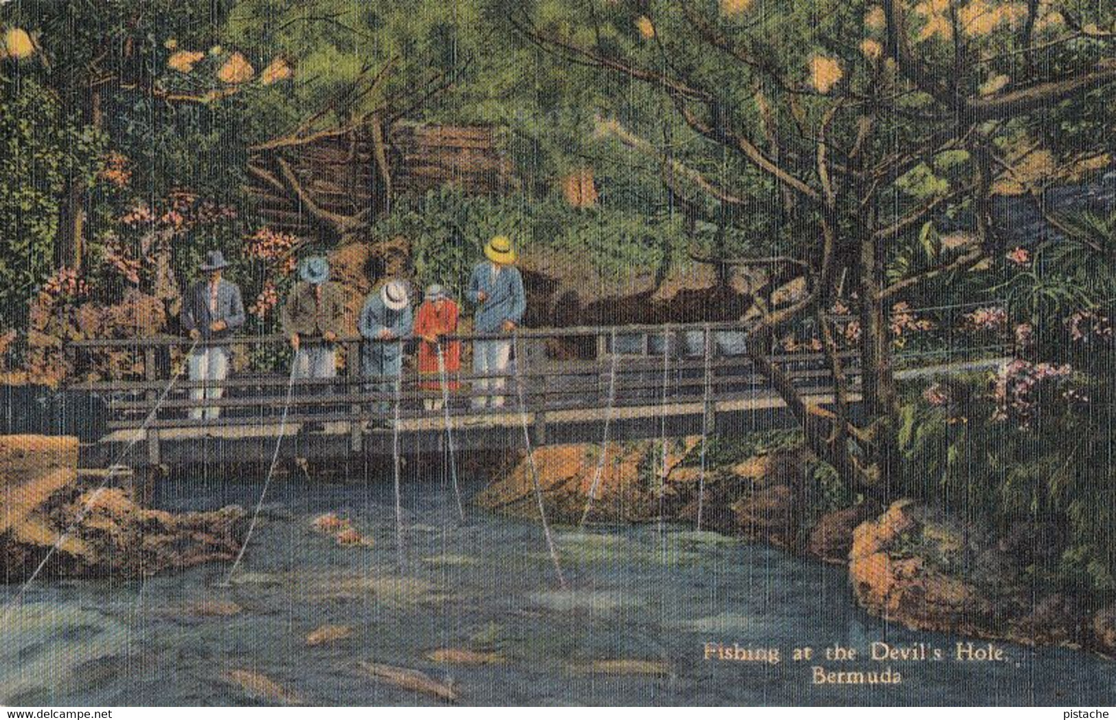 814 – Bermuda – Fishing At The Devil’s Hole – Animation – By Yankee Store – VG Condition – 2 Scans - Bermuda