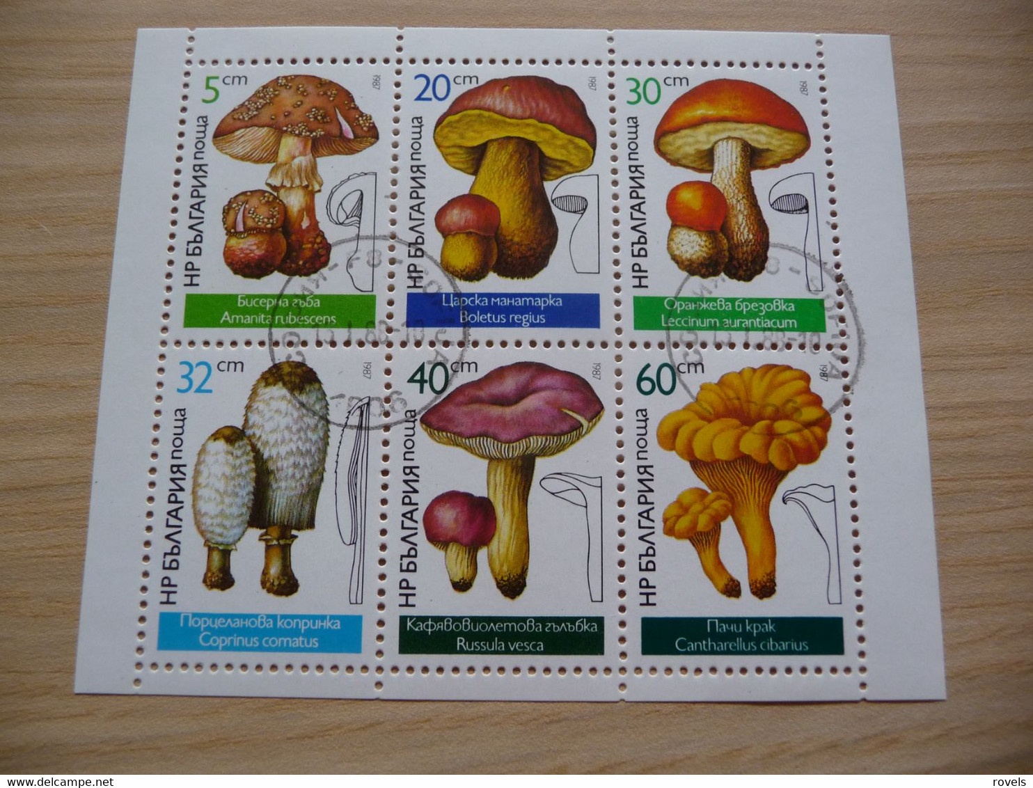 Bulgaria 1987 Mushrooms SEE SCAN - Altri & Non Classificati