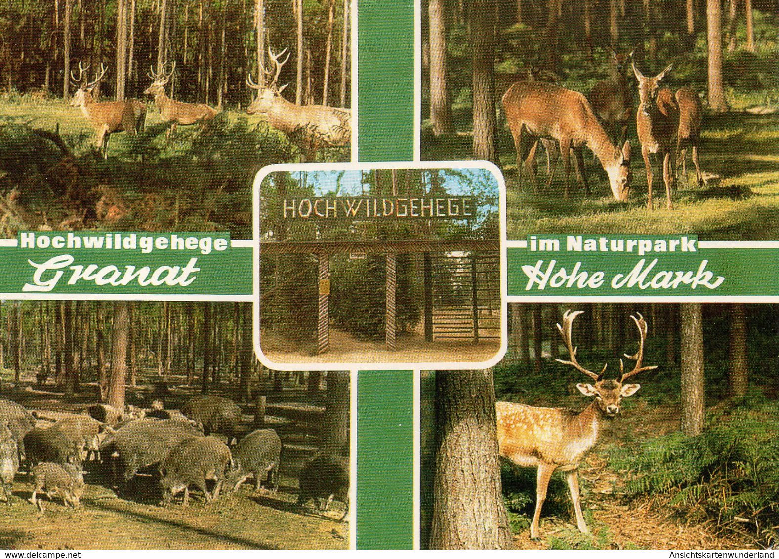 011003  Hochwildgehege Granat Im Naturpark Hohe Mark - Mehrbildkarte - Haltern