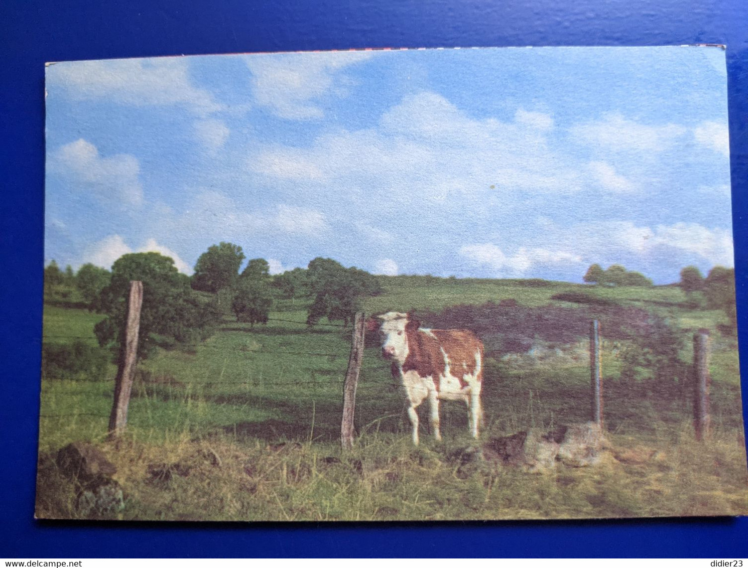 MAUZUN VACHE  PUBLICITE BISCOTTE PELLETIER - Manzat