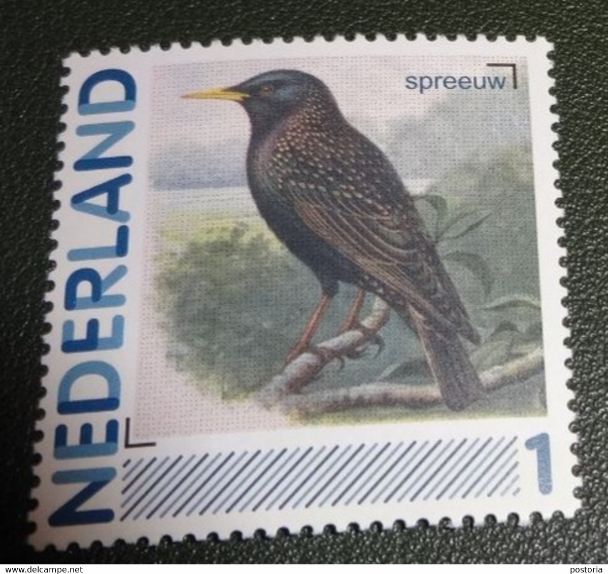 Nederland - NVPH - 2011 - 2791-Aa-58 - Persoonlijk Postfris - MNH - Spreeuw - Vogel - Vogels - Francobolli Personalizzati