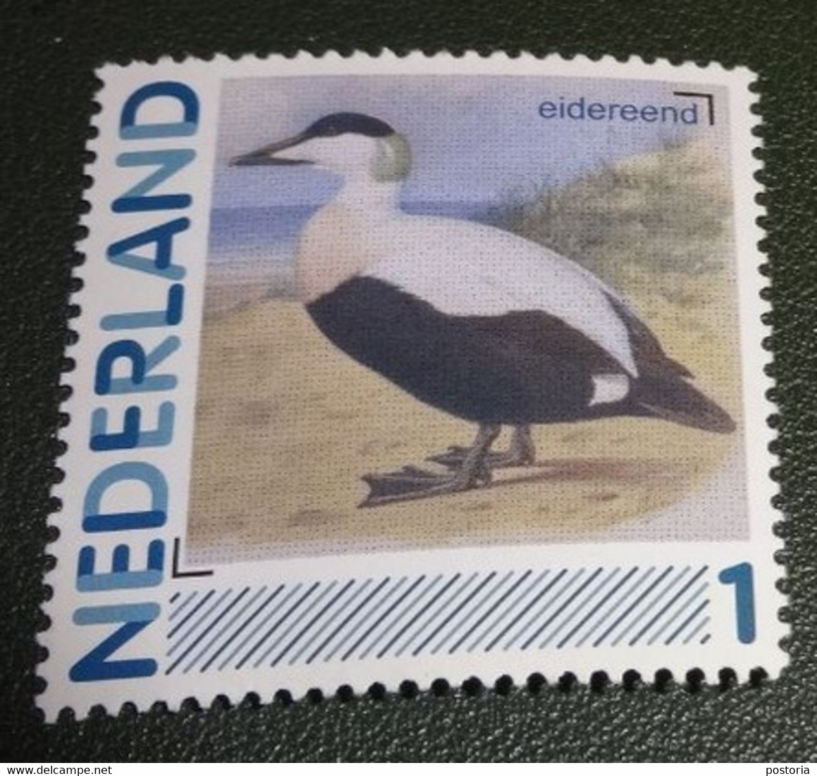 Nederland - NVPH - 2011 - 2791-Aa-9 - Persoonlijk Postfris - MNH - Eidereend - Vogel - Vogels - Persoonlijke Postzegels