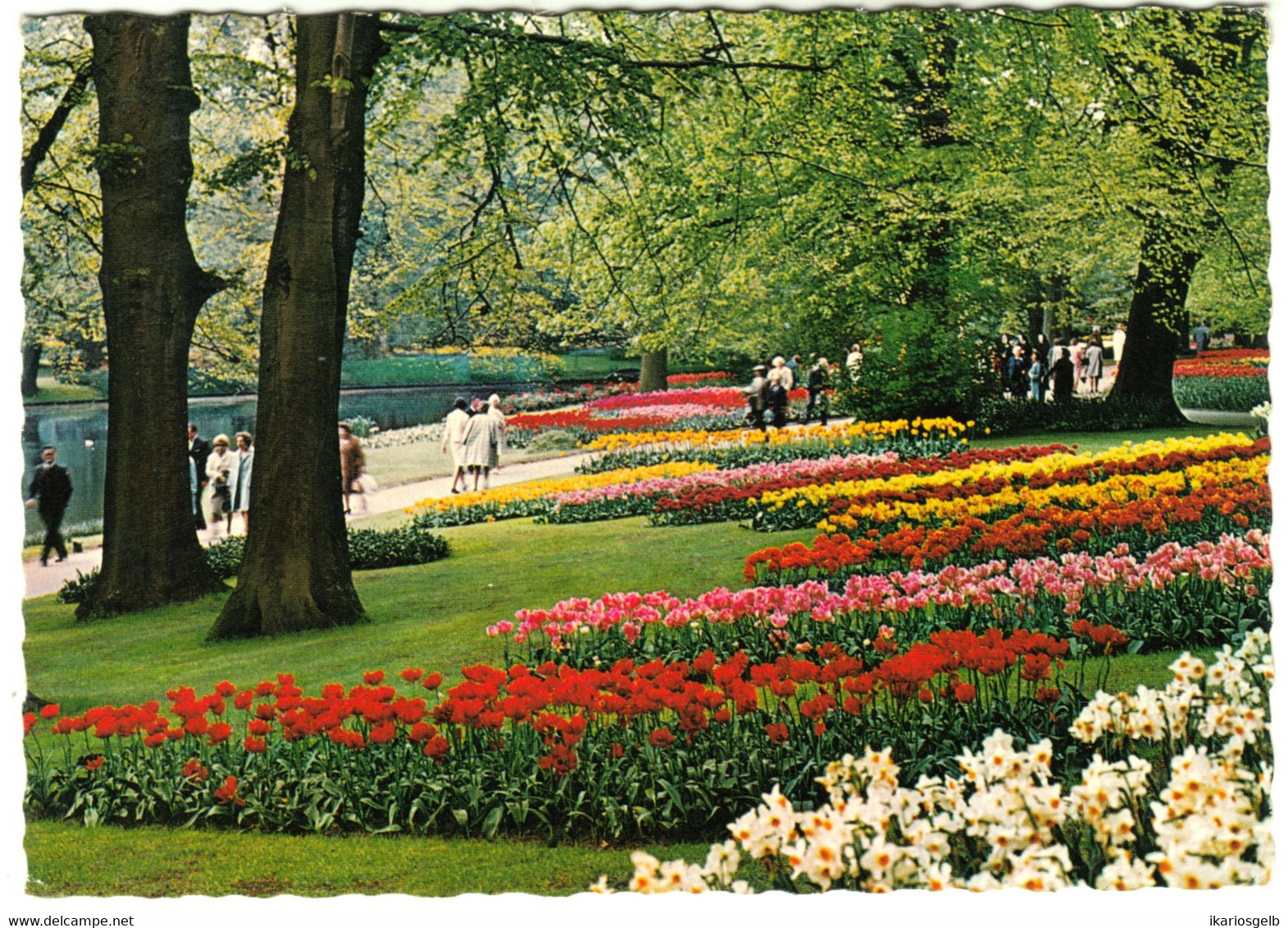 LISSE Keukenhof 1968 " Holland In Bloementol " Frankeerd Naar Neu- Moresnet Belgie - Lisse