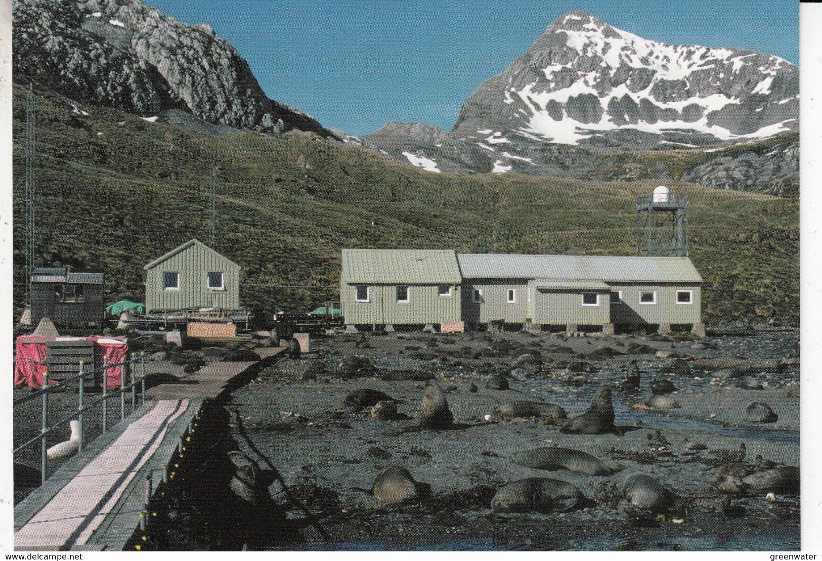 South Georgia Bird Island Research Station Postcard Unused (BAT101A) - Falkland Islands