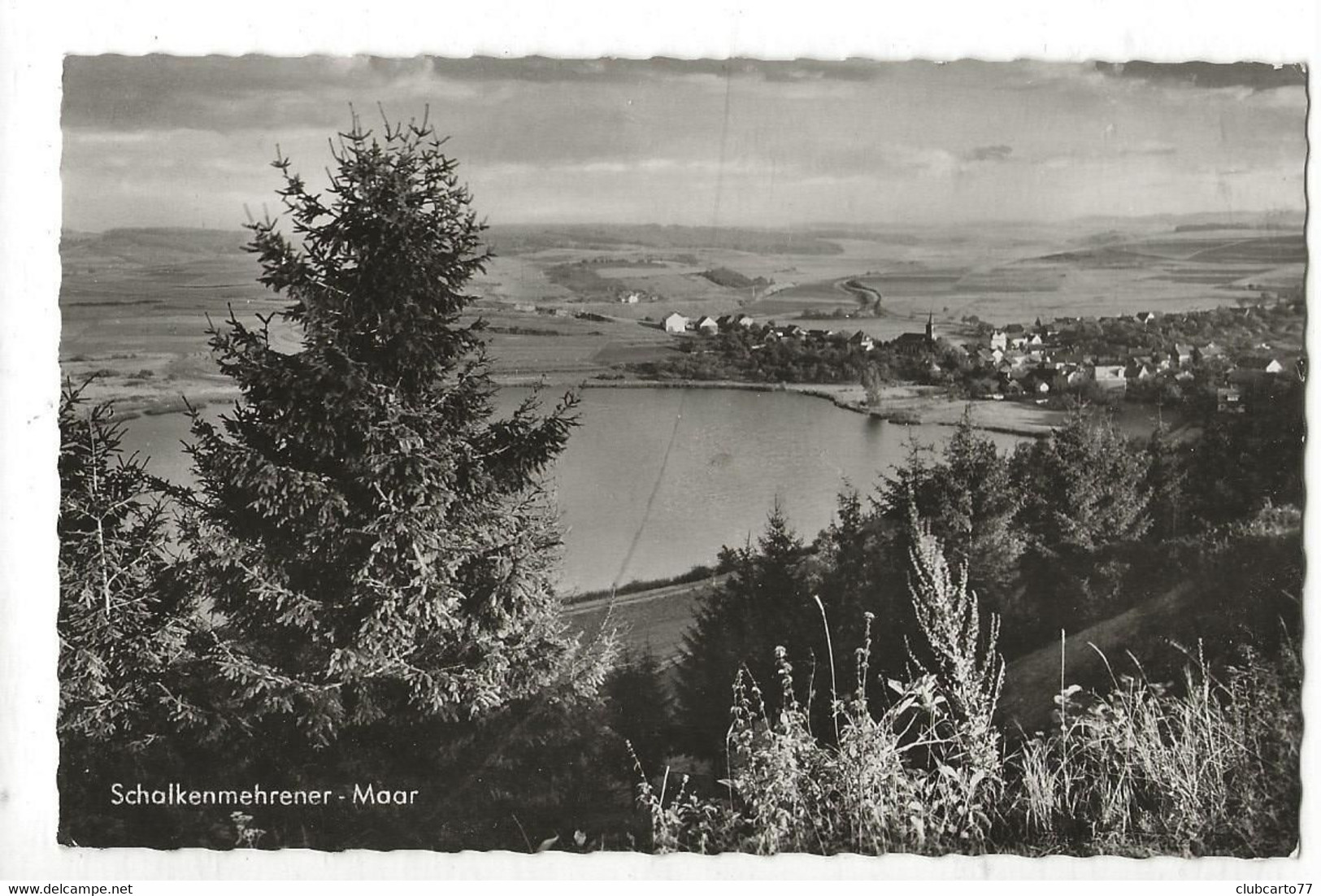 Daun (Allemagne, Rhénanie-Palatinat) : Schalkenmehrener Maar Im 1958 PF. - Daun