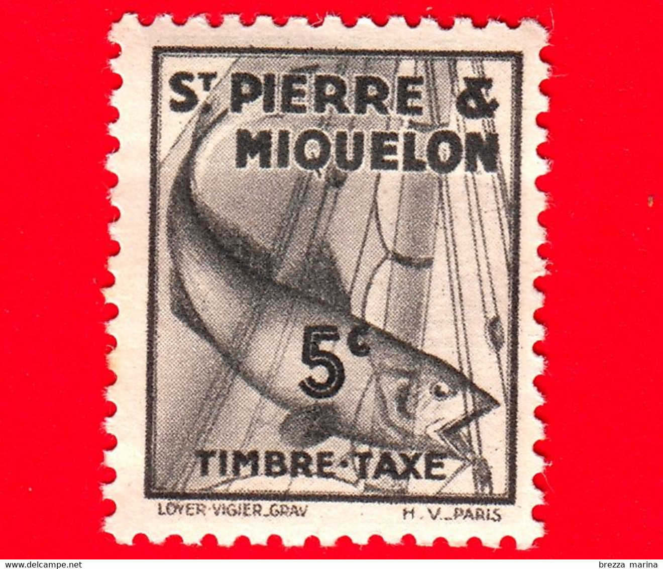 Nuovo - Saint-Pierre E Miquelon - 1938 - Segnatasse - Merluzzo (Gadus Morhua) - Codfish - 5 - Strafport