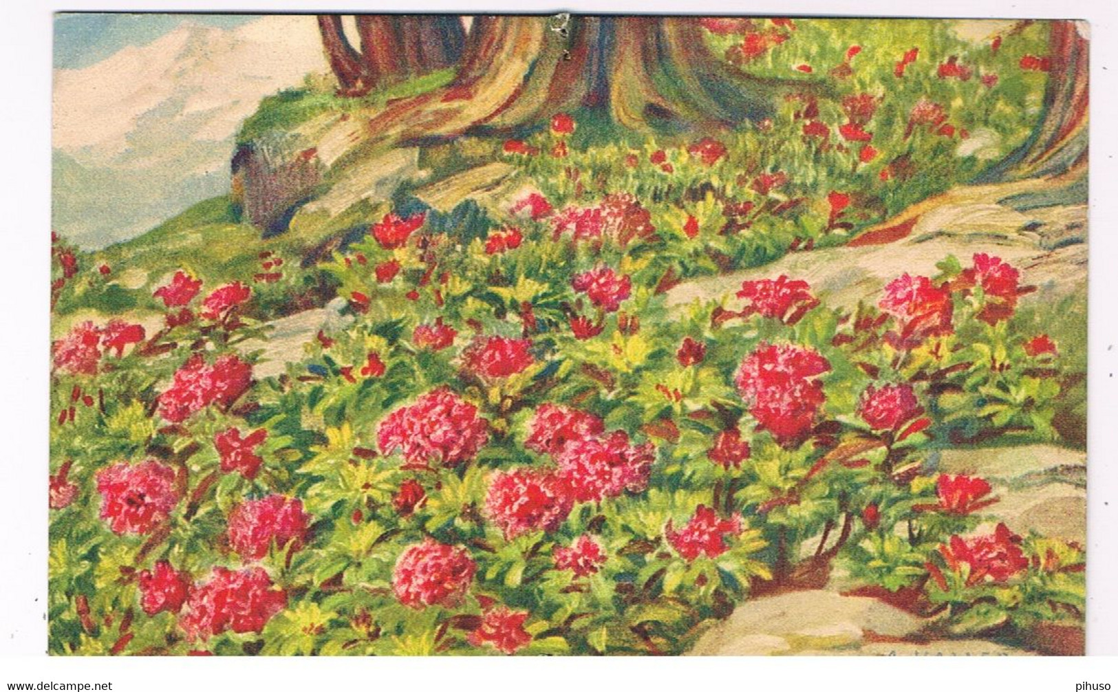 ILL-661   A. HALLER : Flowers Under A Tree - Haller, A.