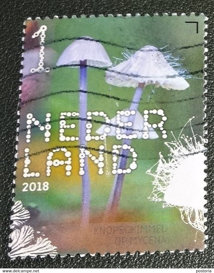 Nederland - NVPH - Xxxx - 2018 - Gebruikt - Beleef De Natuur - Knopschimmel Op Mycena - Gebraucht
