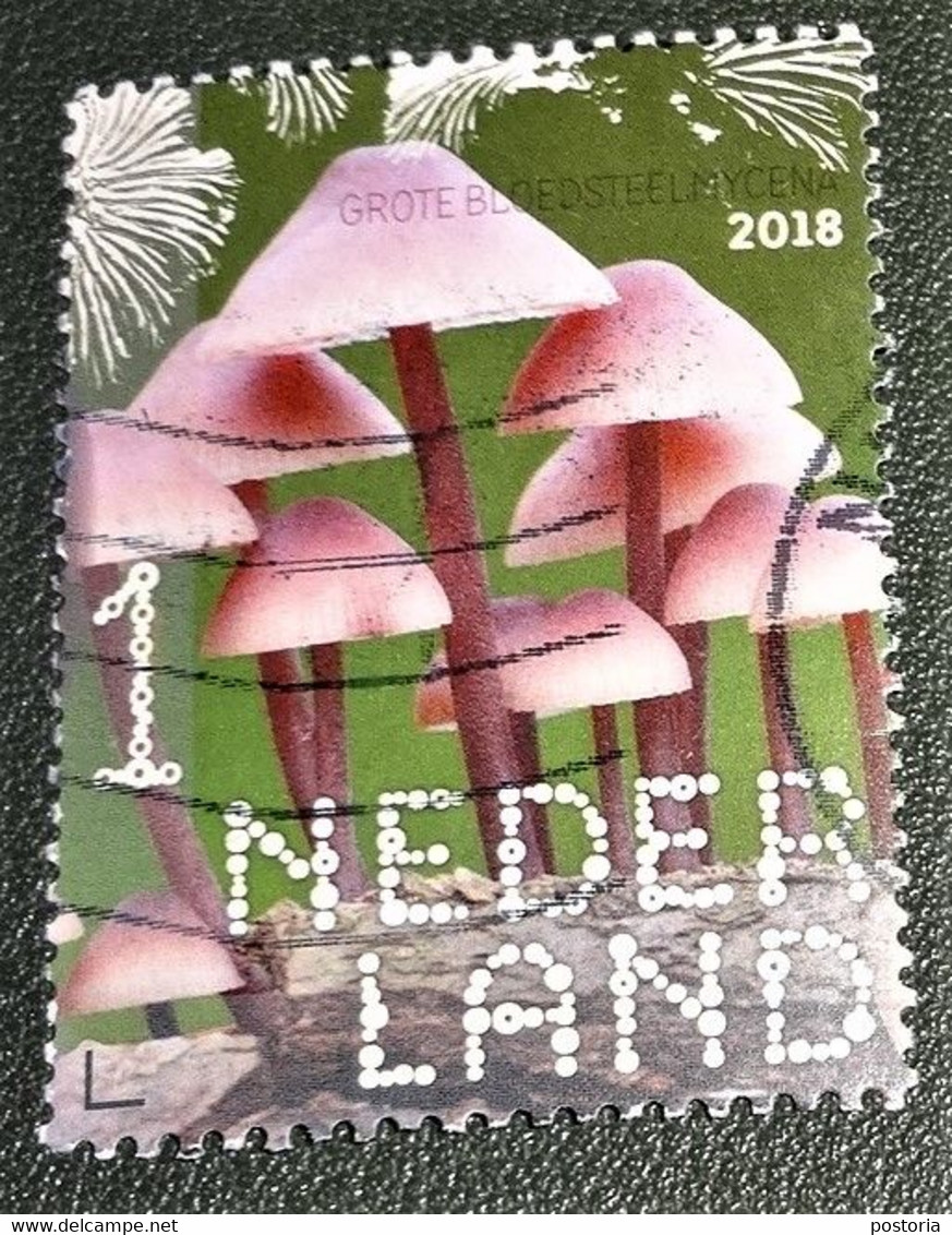 Nederland - NVPH - Xxxx - 2018 - Gebruikt - Beleef De Natuur - Grote Bloedsteelmycena - Gebraucht