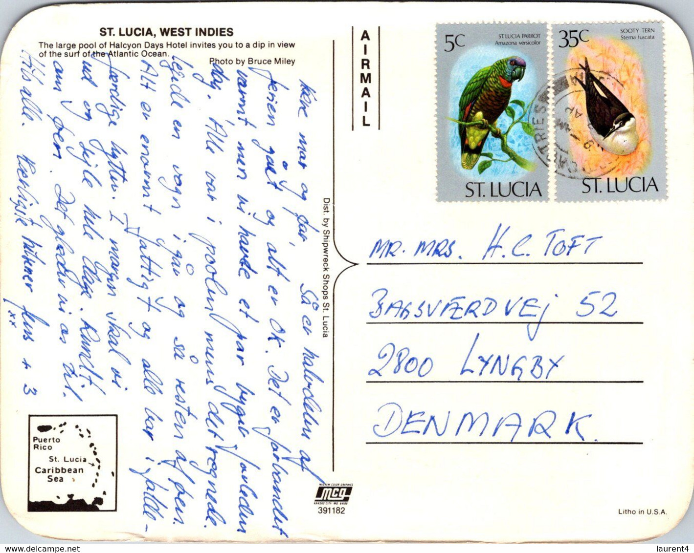 (2 B 7) St Lucia  - Posted To Denmark - Washington DC (17 X 13.5 Cm) Birds Stamps - Sainte-Lucie