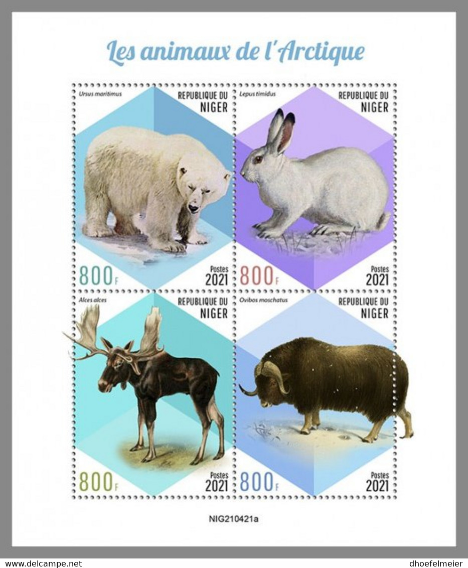 NIGER 2021 MNH Arctic Animals Arktische Tierwelt Animaux Arctique M/S - OFFICIAL ISSUE - DHQ2147 - Faune Arctique